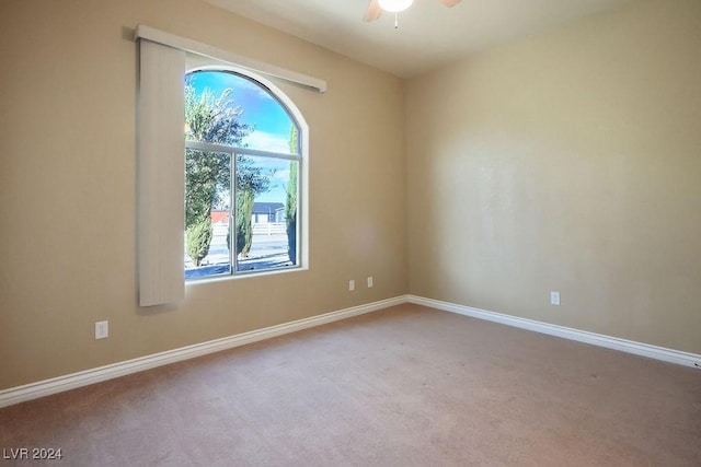 unfurnished room featuring ceiling fan and carpet floors