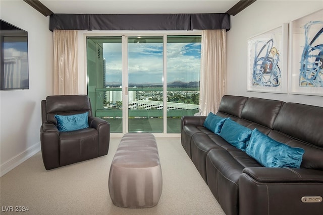 view of carpeted living room