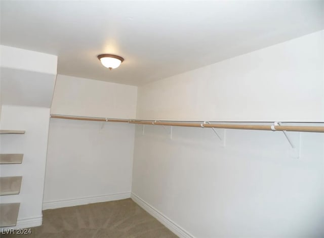 spacious closet with carpet flooring