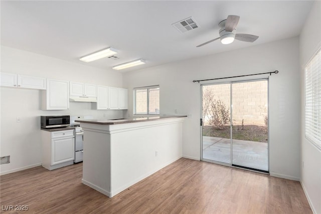 9333 Leaping Deer Pl Unit 102, Las Vegas, NV 89178 - kitchen featuring stainless steel microwave, under cabinet range hood, a peninsula, white cabinets, and light wood-style flooring