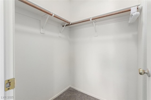 9333 Leaping Deer Pl Unit 102, Las Vegas, NV 89178 - walk in closet featuring carpet