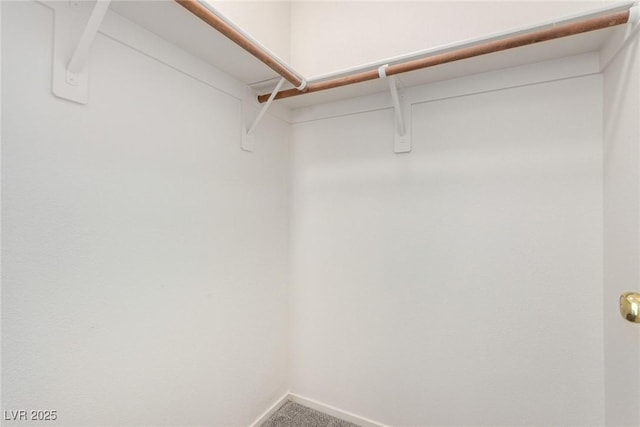 9333 Leaping Deer Pl Unit 102, Las Vegas, NV 89178 - spacious closet with carpet flooring