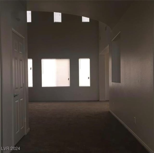 hall featuring carpet and a wealth of natural light