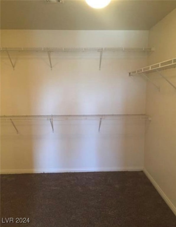 spacious closet featuring carpet floors