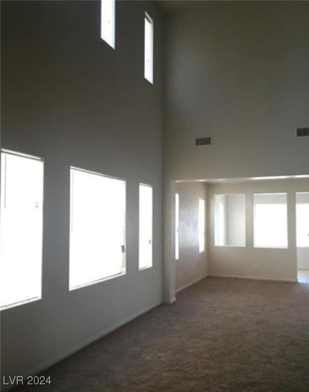 empty room with a towering ceiling, carpet, and a healthy amount of sunlight