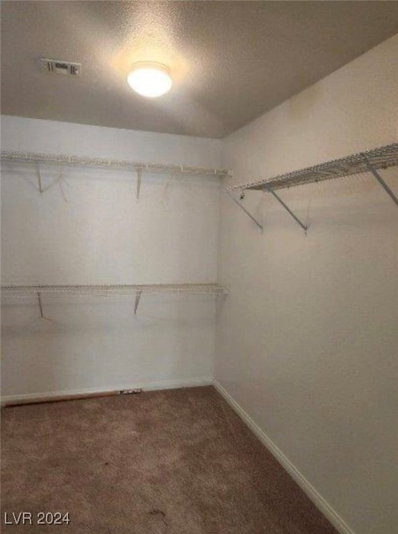 walk in closet featuring carpet flooring