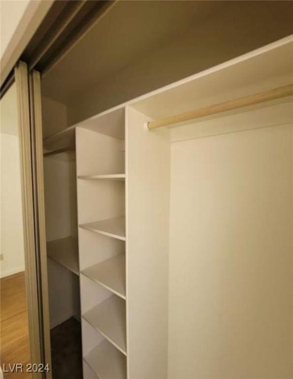 view of closet