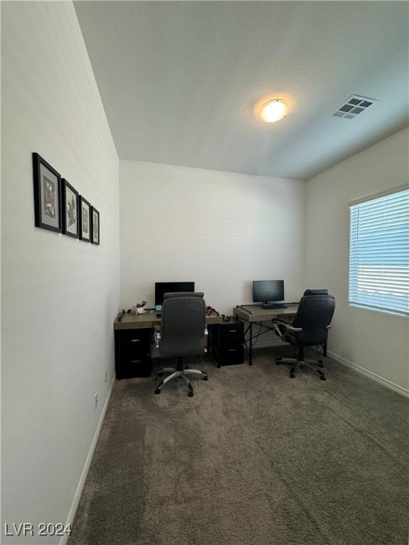 office featuring carpet flooring