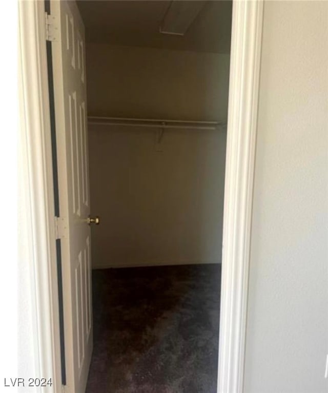 spacious closet featuring carpet