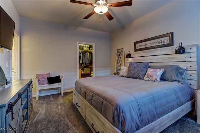 bedroom featuring dark carpet, ceiling fan, a closet, and a spacious closet