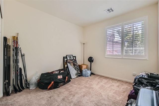 miscellaneous room featuring carpet flooring