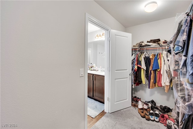 walk in closet featuring sink and light colored carpet