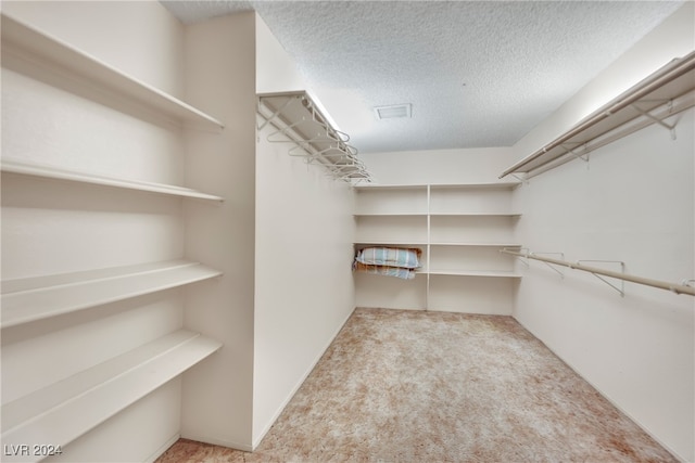 walk in closet featuring light carpet