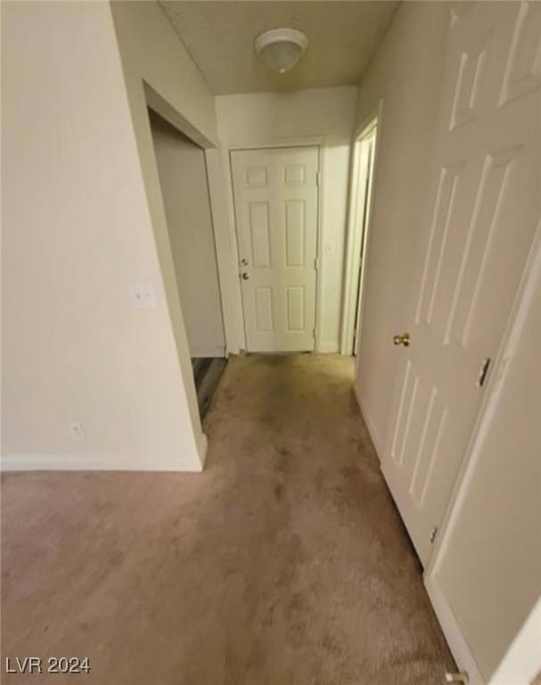 hallway with carpet floors