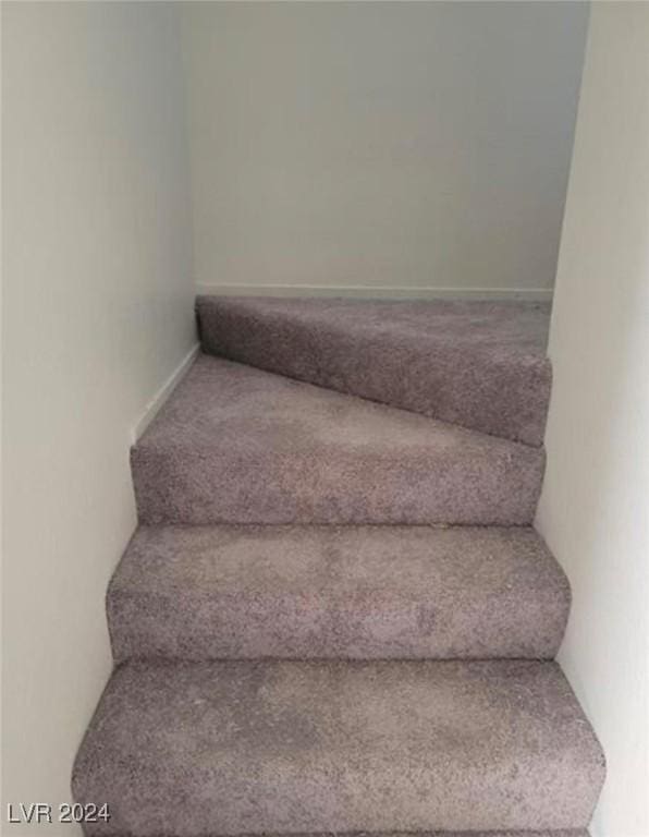 staircase with carpet floors