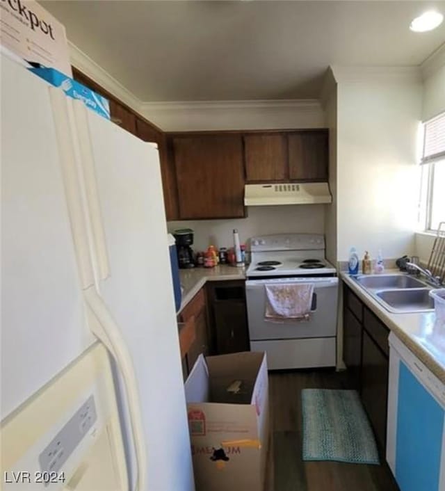 kitchen with sink, crown molding, dark brown cabinets, dark hardwood / wood-style flooring, and white appliances