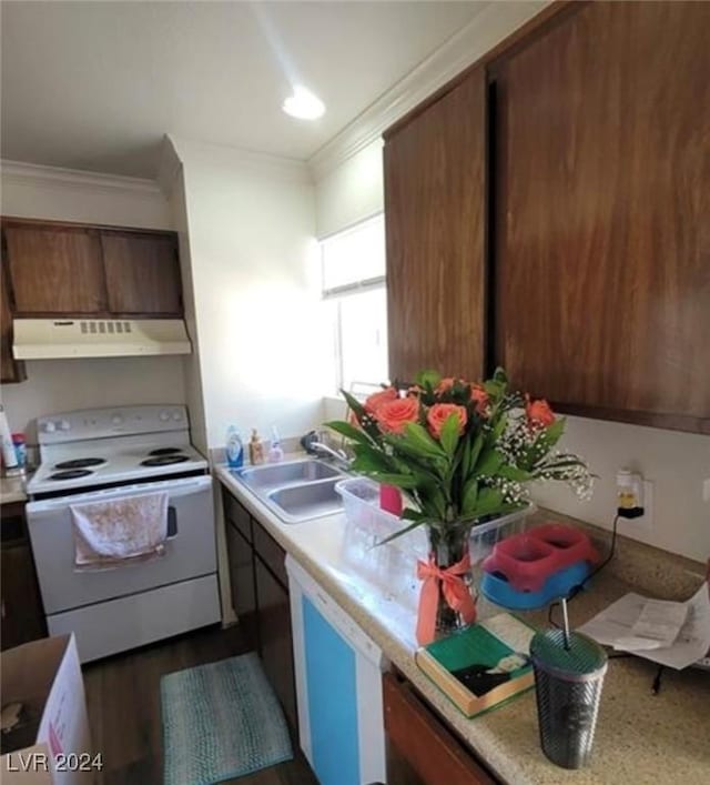 kitchen with crown molding, sink, and white appliances