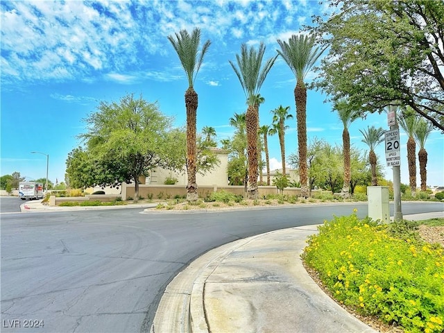 view of road with sidewalks, street lighting, and curbs