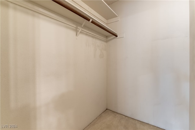 walk in closet with light colored carpet