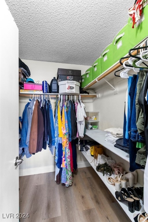 walk in closet featuring hardwood / wood-style flooring