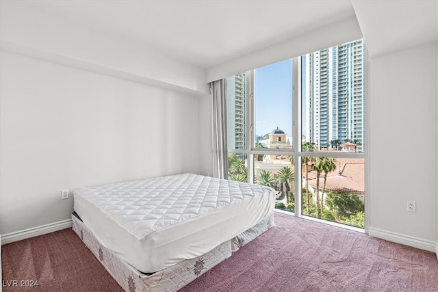 bedroom featuring carpet flooring