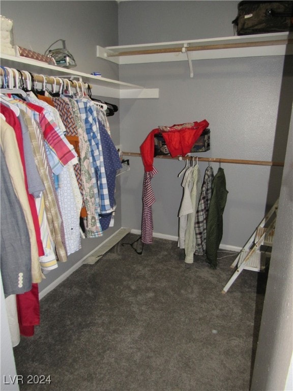 spacious closet with carpet floors