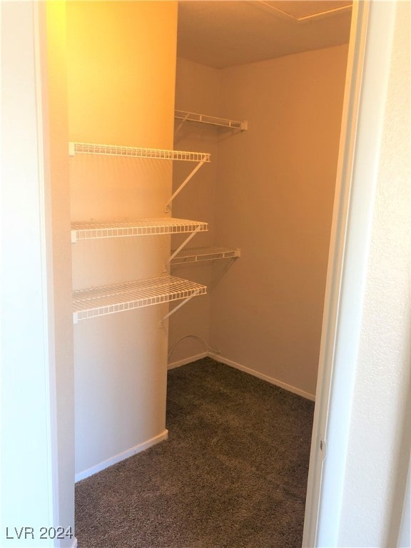 spacious closet with carpet floors