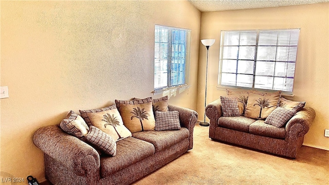 living room featuring light colored carpet and a textured ceiling