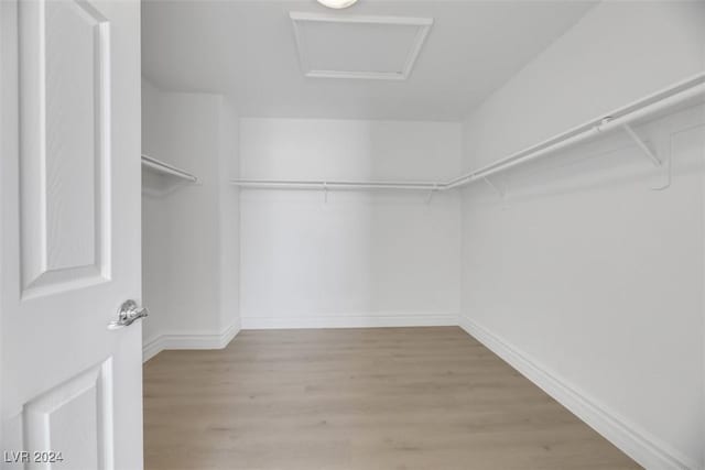 walk in closet featuring light wood-type flooring