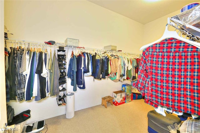 spacious closet with carpet