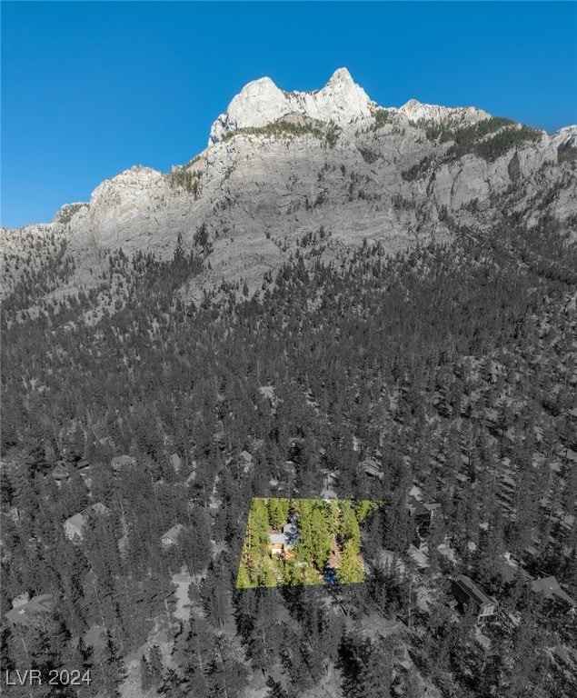 2130 Via Spes Nostra St, Mount Charleston NV, 89124 land for sale