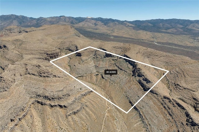 Mountain Springs NV, 89124 land for sale