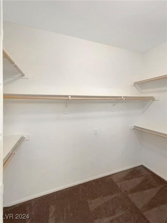 spacious closet with carpet