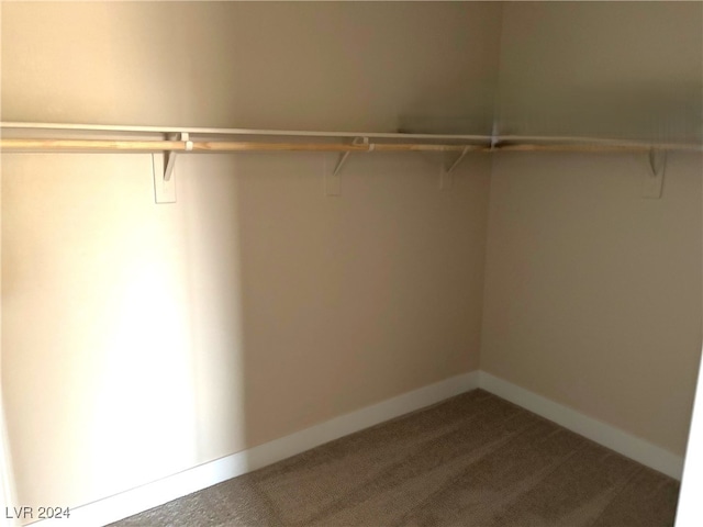 walk in closet with carpet flooring