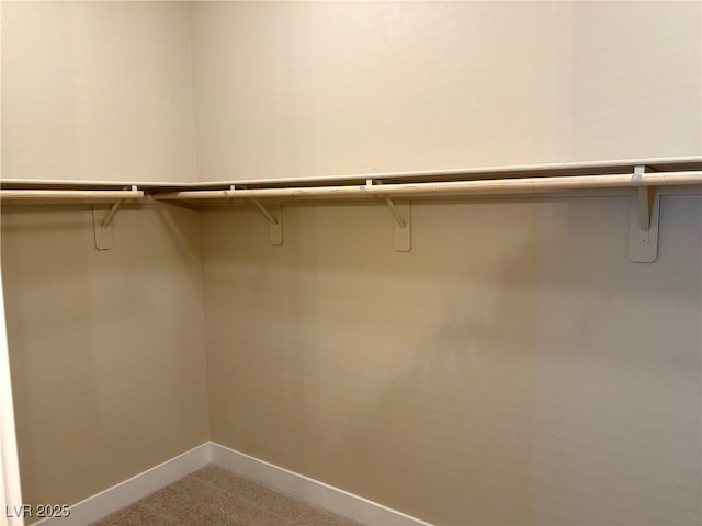 spacious closet with carpet