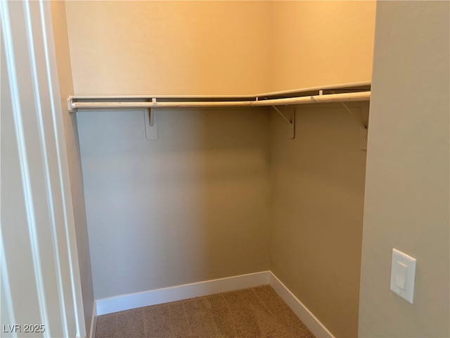 walk in closet with carpet