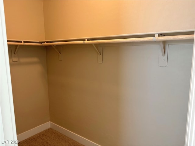 walk in closet with carpet