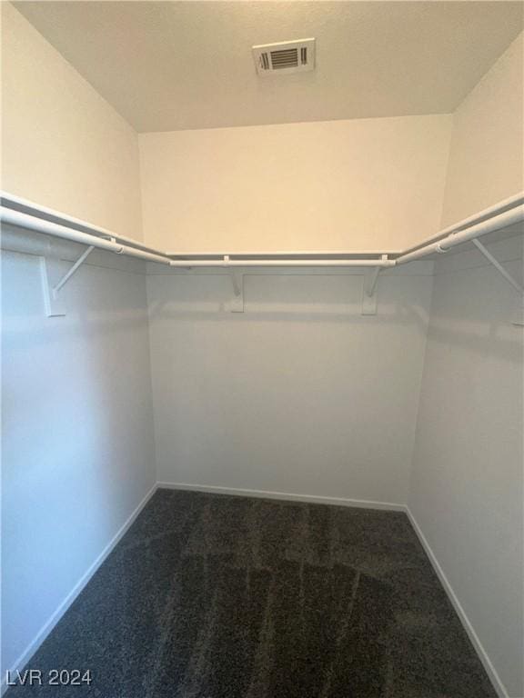 walk in closet featuring carpet