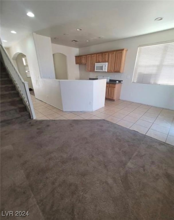 kitchen featuring light carpet