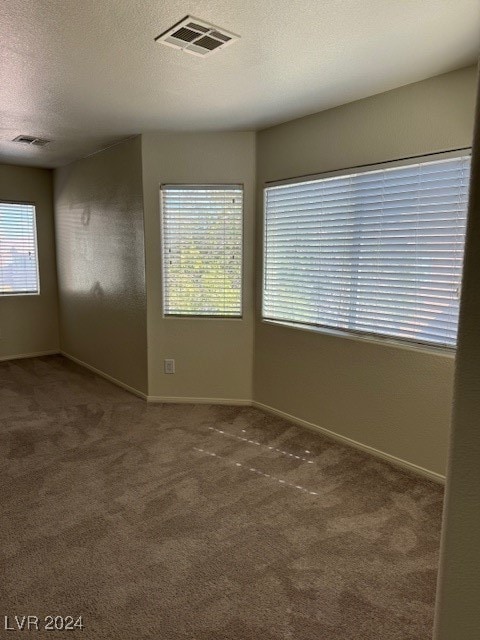 spare room with carpet and a textured ceiling