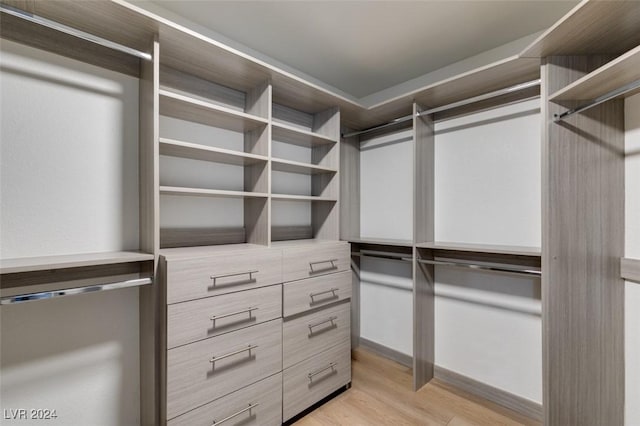 walk in closet with light wood-style flooring