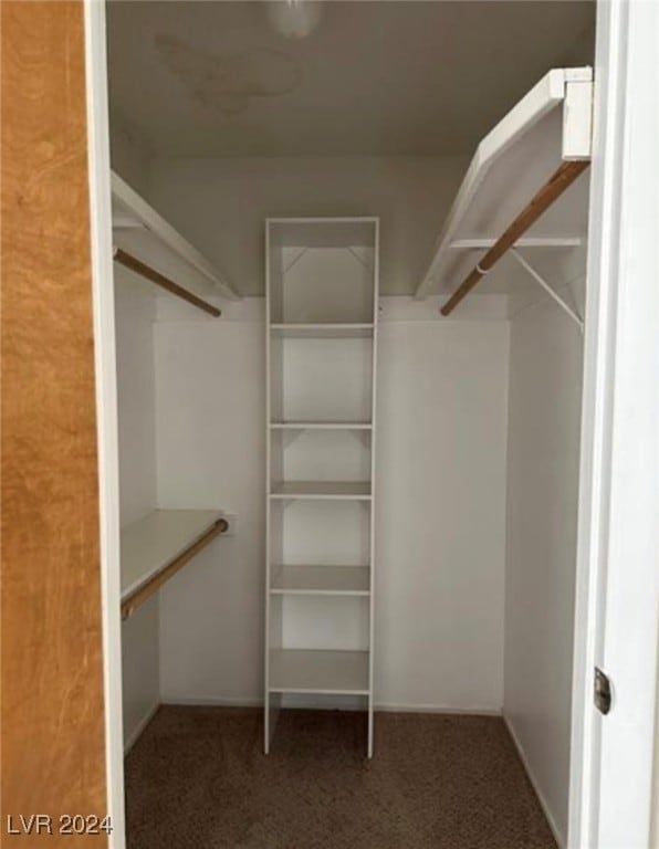 walk in closet with carpet flooring