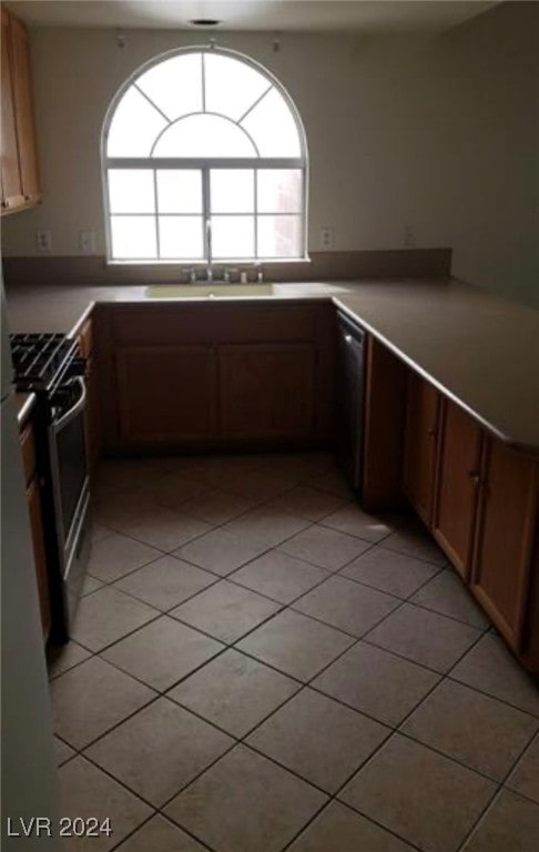 970 Flapjack Dr, Henderson, NV 89014 - photo 9