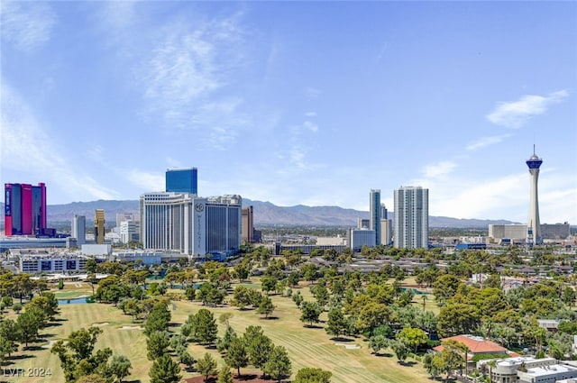 city view with a mountain view