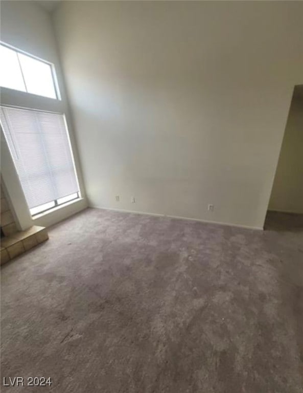 empty room featuring a high ceiling and carpet flooring