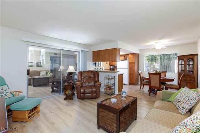 living room with ceiling fan and light hardwood / wood-style flooring