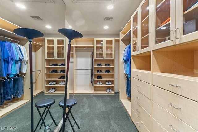 spacious closet with dark carpet