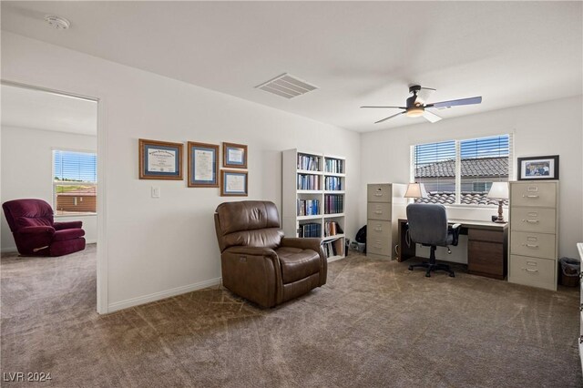 113 Parliament Cyn, Mesquite, NV 89027 - photo 30