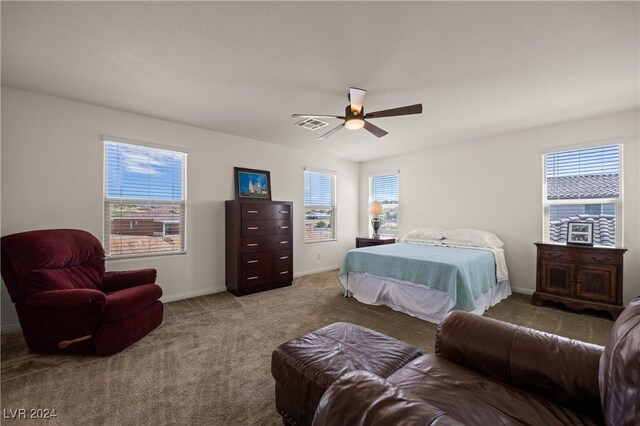 113 Parliament Cyn, Mesquite, NV 89027 - photo 36