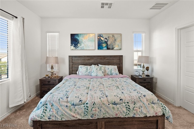 bedroom featuring carpet and multiple windows